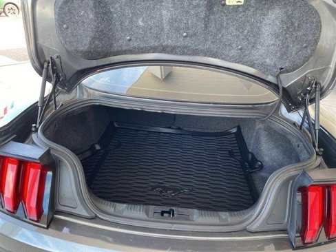 Certified 2019 Ford Mustang Premium w/ Equipment Group 201A image 6
