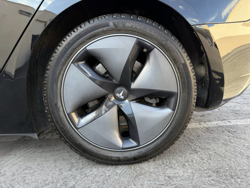 Used 2019 Tesla Model 3 Standard Range Plus image 30