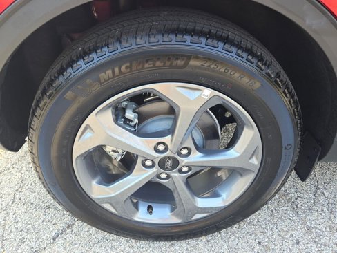 Used 2025 Ford Escape ST-Line Select image 11