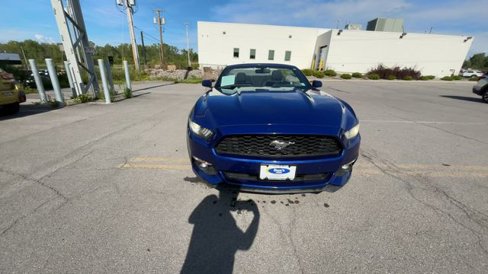 Used 2015 Ford Mustang Convertible w/ Equipment Group 051A image 3