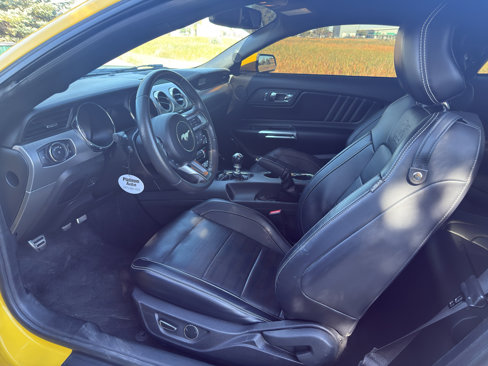 Used 2015 Ford Mustang GT Premium w/ 50 Years Appearance Package image 9
