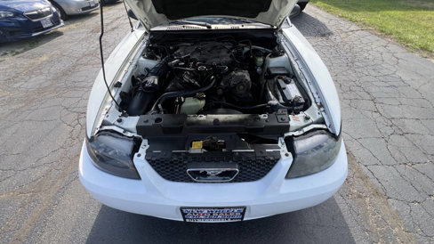 Used 1999 Ford Mustang Convertible image 32