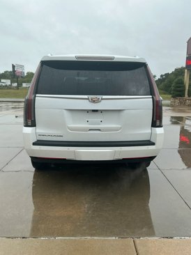 Used 2019 Cadillac Escalade Luxury image 4