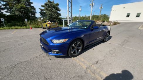 Used 2015 Ford Mustang Convertible w/ Equipment Group 051A image 5