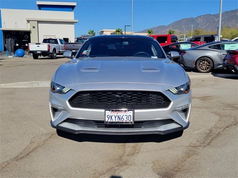Used 2019 Ford Mustang Coupe w/ Equipment Group 101A image 2