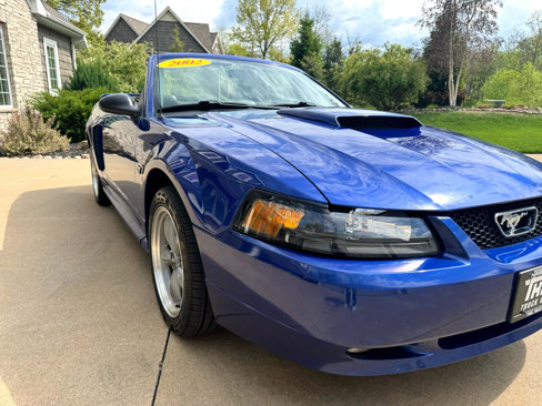 Used 2002 Ford Mustang GT image 23
