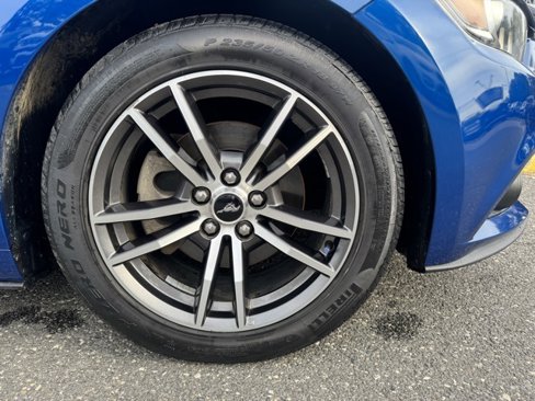 Used 2017 Ford Mustang Premium image 13