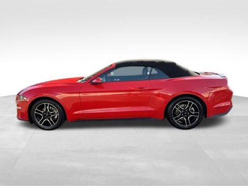Used 2019 Ford Mustang Premium image 5