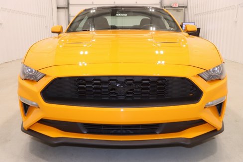 Certified 2019 Ford Mustang Coupe w/ Equipment Group 101A image 5