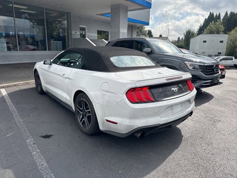 Used 2019 Ford Mustang Premium image 16