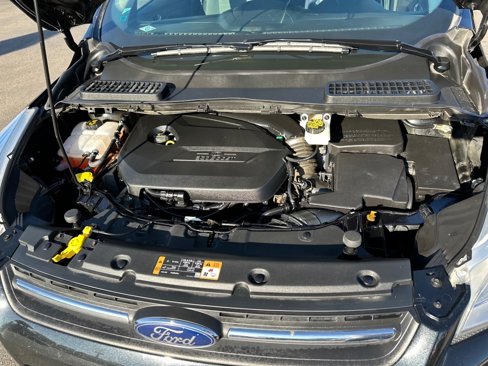 Used 2014 Ford Escape SE image 13
