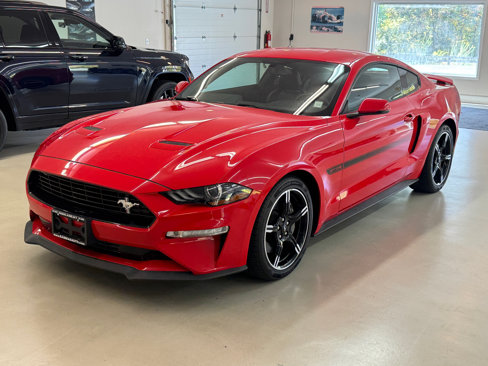 Used 2019 Ford Mustang GT Premium w/ Equipment Group 401A image 1