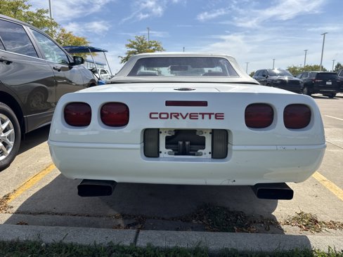 Used 1993 Chevrolet Corvette Convertible image 9