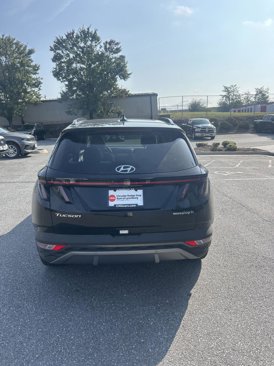 Used 2024 Hyundai Tucson Limited image 5