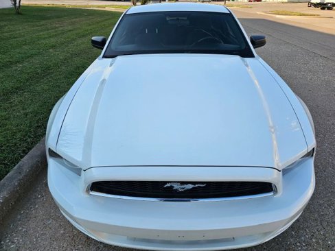 Used 2013 Ford Mustang Coupe image 1