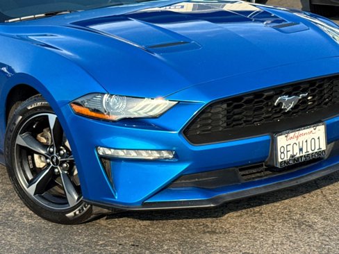 Used 2019 Ford Mustang Coupe w/ Equipment Group 101A image 3