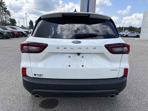 New 2025 Ford Escape ST-Line w/ Tech Pack #1 image 4
