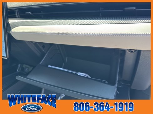 Used 2021 Ford Mustang Mach-E Premium image 33