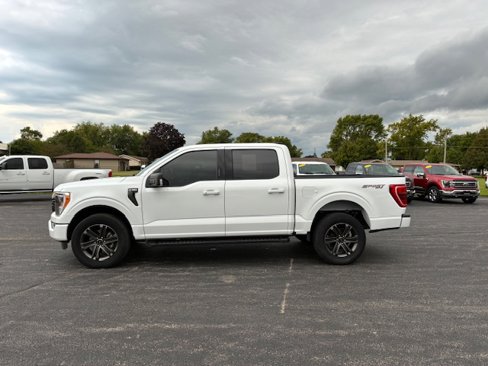 Used 2022 Ford F150 XLT w/ Equipment Group 302A High image 2