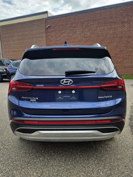 Used 2023 Hyundai Santa Fe Blue image 6