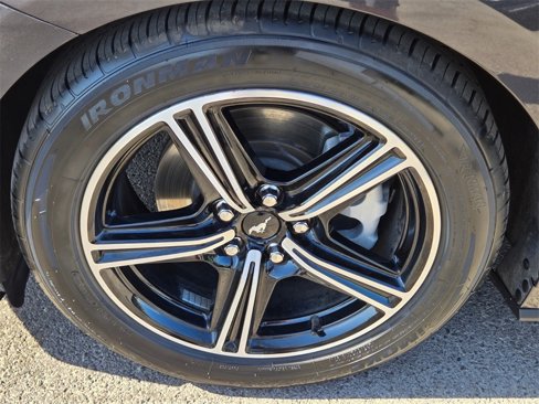 Used 2024 Ford Mustang Premium image 11