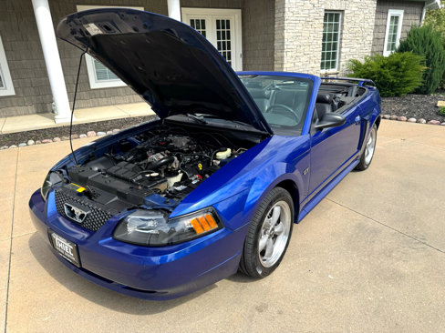 Used 2002 Ford Mustang GT image 36