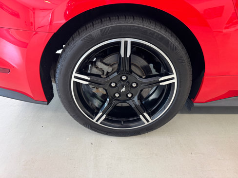 Used 2019 Ford Mustang GT Premium w/ Equipment Group 401A image 35