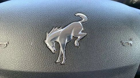 Used 2022 Ford Bronco Sport Big Bend image 42
