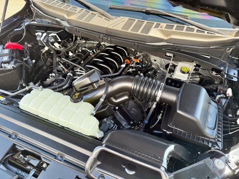 Used 2025 Ford F150 XL w/ Equipment Group 103A High image 13