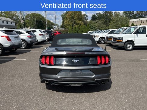 Certified 2019 Ford Mustang Premium w/ Equipment Group 201A image 15