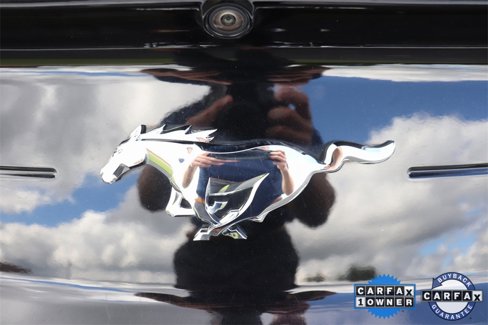 Used 2023 Ford Mustang Premium image 19