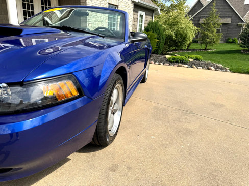 Used 2002 Ford Mustang GT image 20