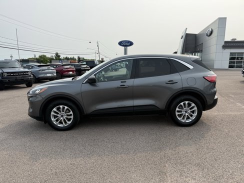 Certified 2022 Ford Escape SE w/ Cold Weather Package image 3