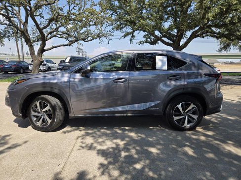 Used 2020 Lexus NX 300h AWD w/ Premium Package image 2