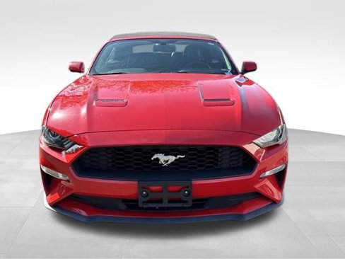 Used 2019 Ford Mustang Premium image 15
