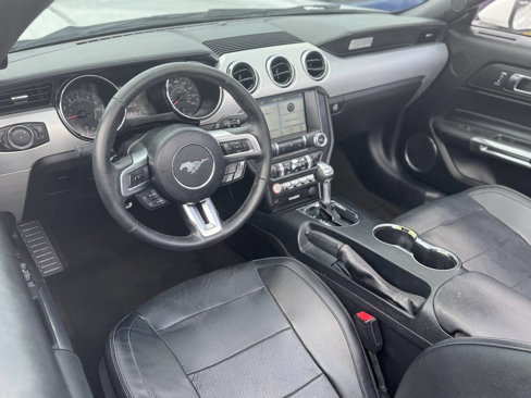 Used 2017 Ford Mustang Premium image 7