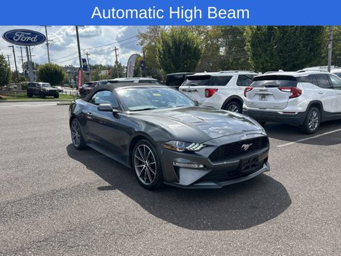 Certified 2019 Ford Mustang Premium w/ Equipment Group 201A image 5