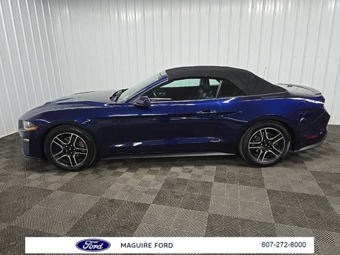 Used 2018 Ford Mustang Premium w/ Equipment Group 201A image 15