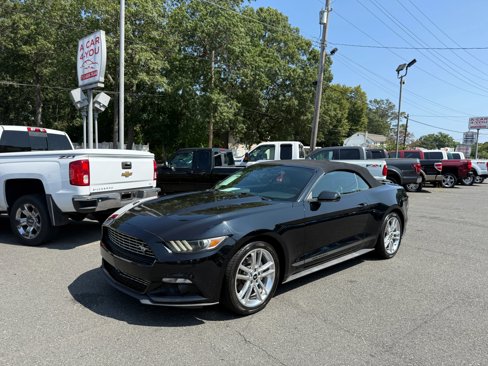 Used 2016 Ford Mustang Premium w/ Equipment Group 201A image 7