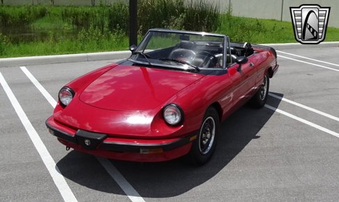 Used 1986 Alfa Romeo Spider Graduate image 24