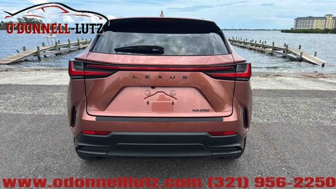 Used 2025 Lexus NX 250 FWD image 9