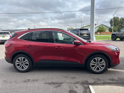 Used 2022 Ford Escape SEL image 4