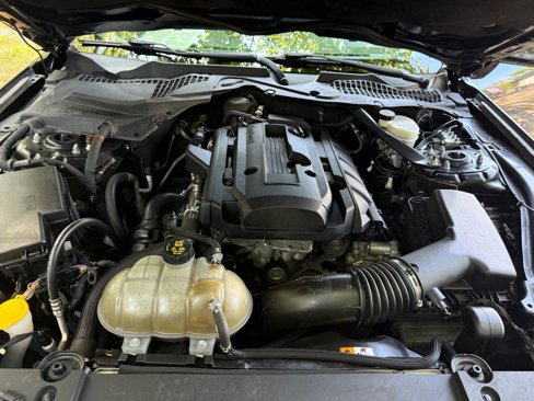 Used 2016 Ford Mustang Premium w/ Equipment Group 201A image 19