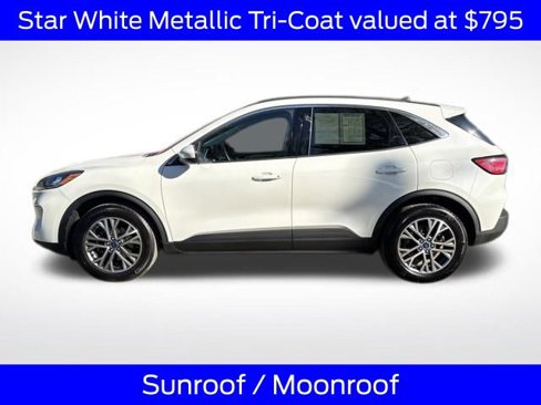 Certified 2022 Ford Escape SEL image 4