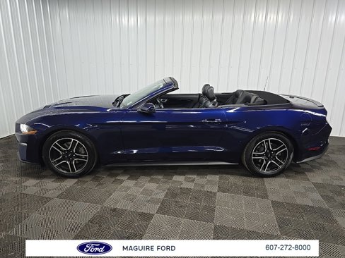 Used 2018 Ford Mustang Premium w/ Equipment Group 201A image 5