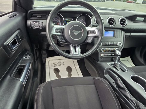 Used 2019 Ford Mustang Coupe w/ Black Accent Package image 3