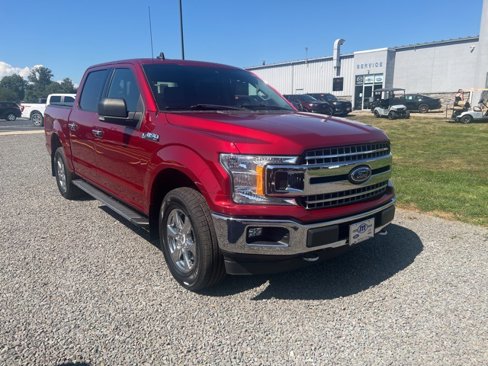 Used 2019 Ford F150 XLT w/ Equipment Group 302A Luxury image 8