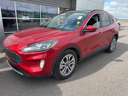 Used 2022 Ford Escape SEL image 1