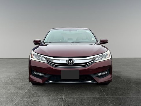 Used 2016 Honda Accord EX-L image 2