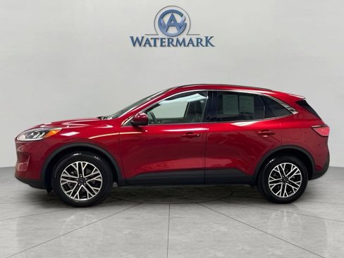 Used 2020 Ford Escape SEL image 2